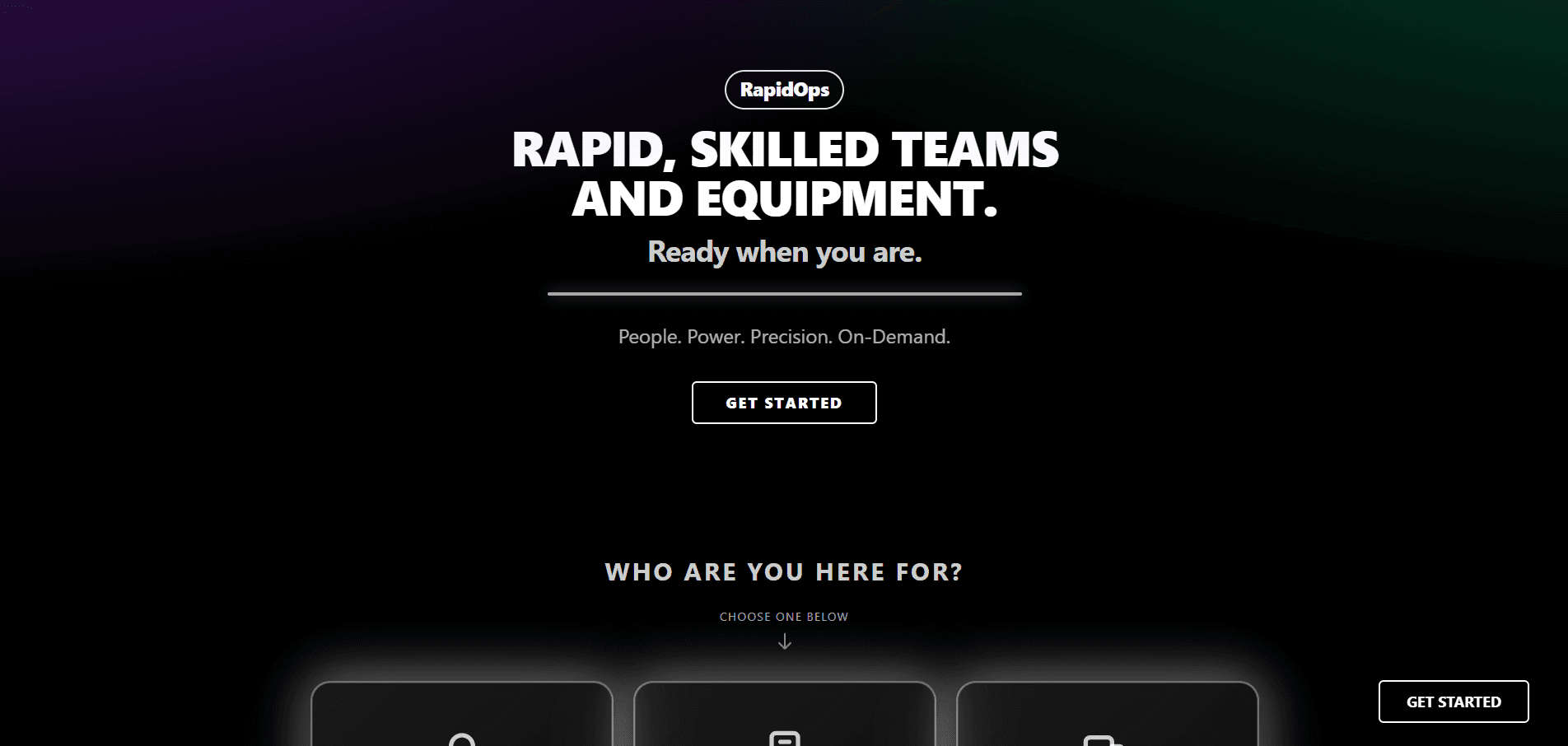 RapidOps Business Landing Page